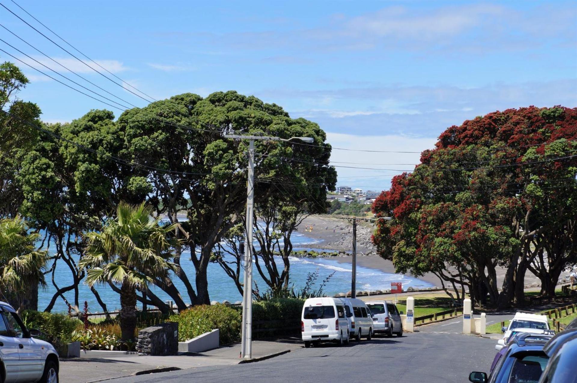The Buller Bungalow You Will Fall In Love New Plymouth Exterior foto